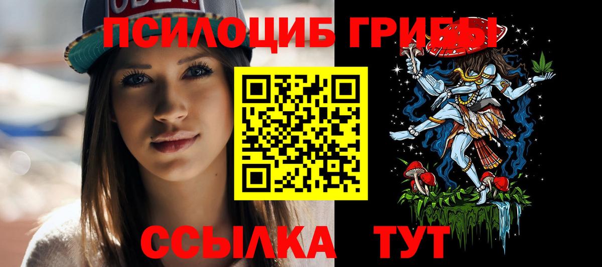 Псилоцибиновые грибы ЛСД  Вход с VPN  Новошахтинск 
