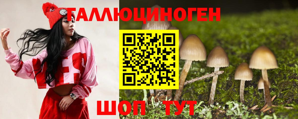 Галлюциногенные грибы Psilocybe Новошахтинск