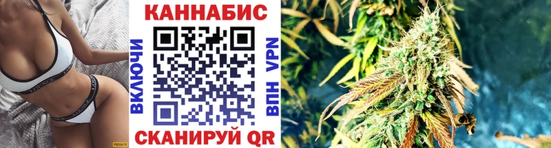 Конопля сатива  Новошахтинск 